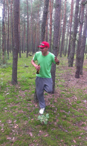 forest