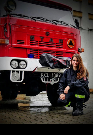 sitting, vehicle