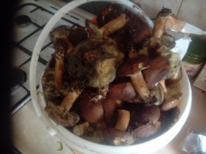 food