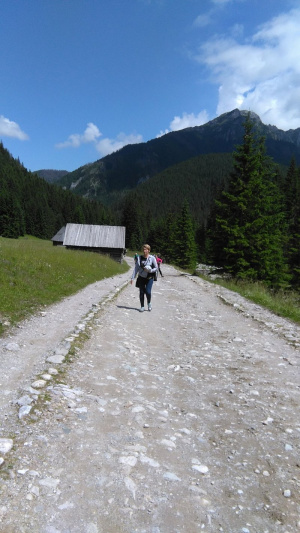 mountain, road, infrastructure