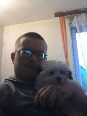selfie, fun, cool, glasses, dog