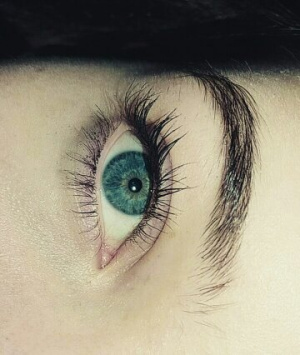eyelash, skin