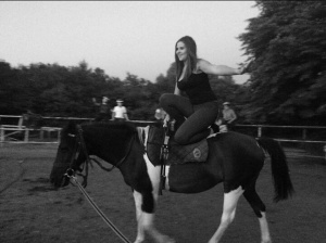 horse, bridle, sports