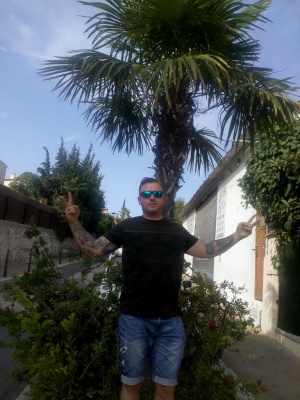 jeans, denim, vacation, shorts, plant