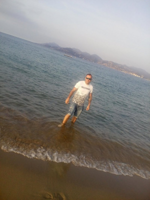 bird, beach