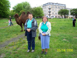 horse, community
