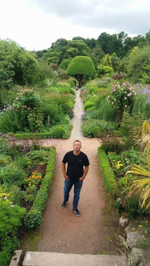 jeans, leisure, plant, garden