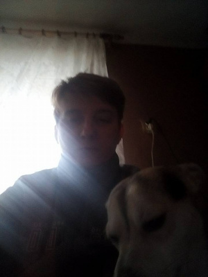 fun, muscle, ear, dog