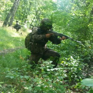 forest, jungle