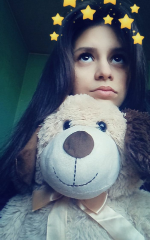 toy, stuffed-toy, plush