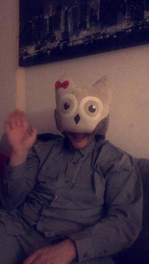 toy