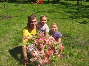 petal, flower, garden