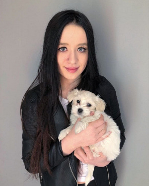 dog, pet