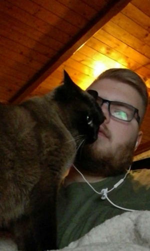 glasses, cat