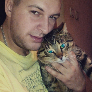 cat, pet