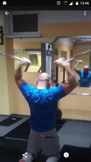 muscle