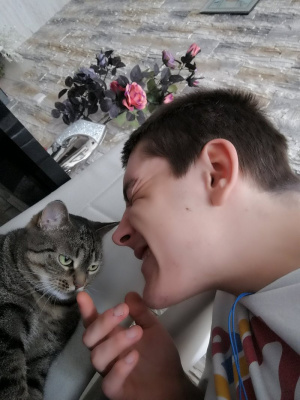 hand, ear, cat, pet