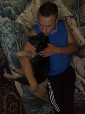 fun, muscle, dog
