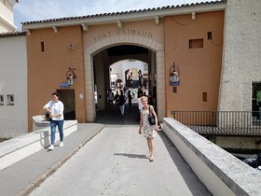 Najładniejsze zdjęcie użytkownika emilka386 -