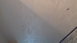 wall