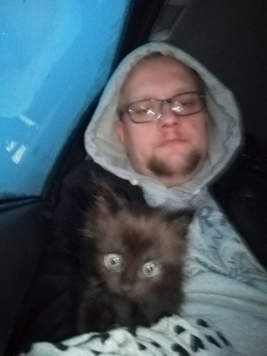 selfie, smile, cool, glasses, beard, cat