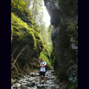 forest, jungle
