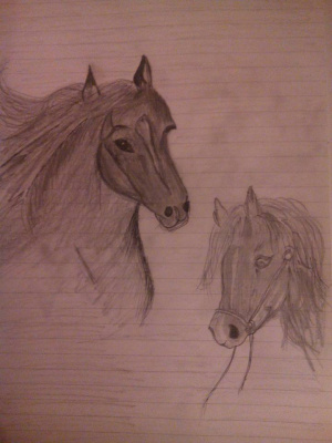 horse