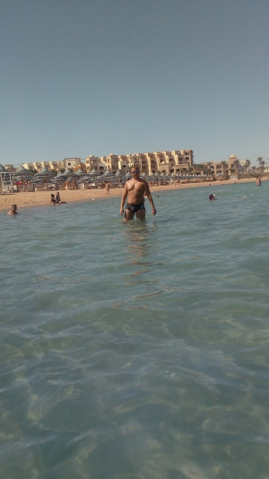 fun, leisure, muscle, vacation, swimming, beach