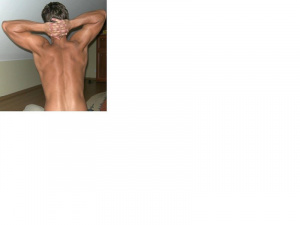 hand, muscle