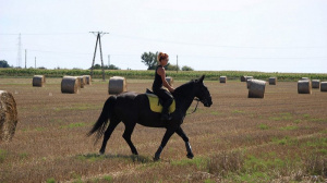 hair, horse, bridle, rein, ranch