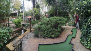 garden