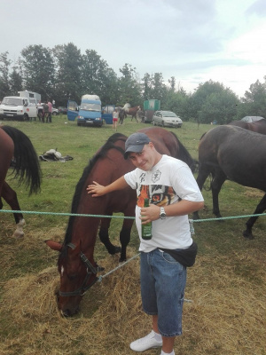 hair, horse, bridle