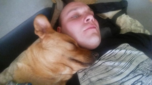 muscle, dog, cat, pet