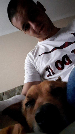 cool, dog