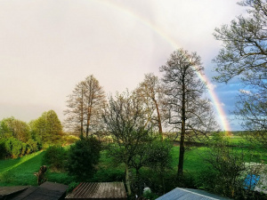 sky, plant, rainbow