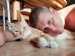 skin, ear, cat, pet