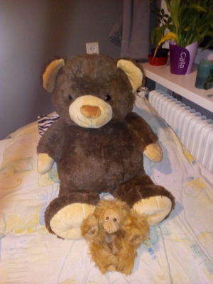 textile, toy, stuffed-toy, plush
