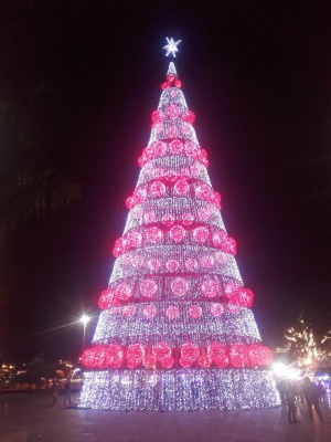 christmas, event