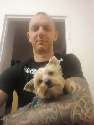 dog, pet