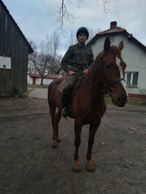 hair, horse, bridle, rein