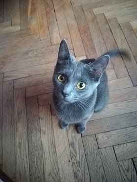 Najładniejsze zdjęcie użytkownika ewka234