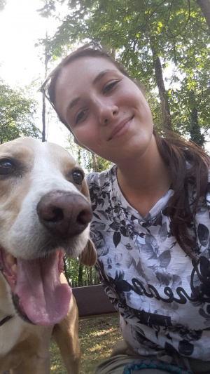 dog, pet