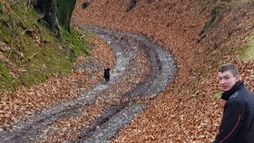 Najładniejsze zdjęcie użytkownika JustAd - 