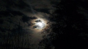 sky, moon