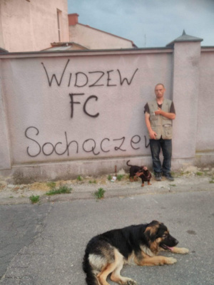 dog, pet, wall
