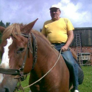 hair, horse, bridle, rein