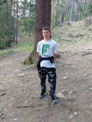 forest, soil