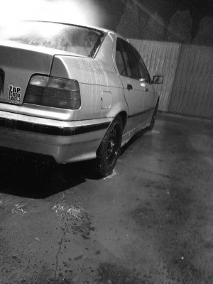 bumper
