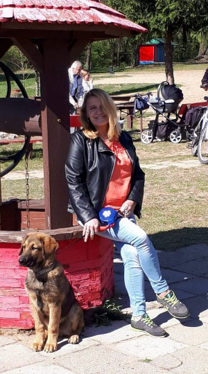 jeans, dog, pet
