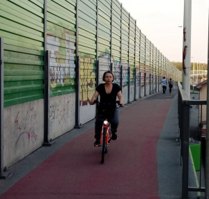 vehicle, bicycle, cycling, road